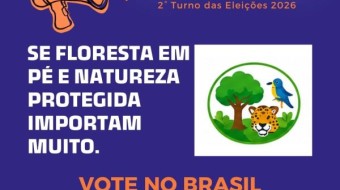 VOTA BRASIL