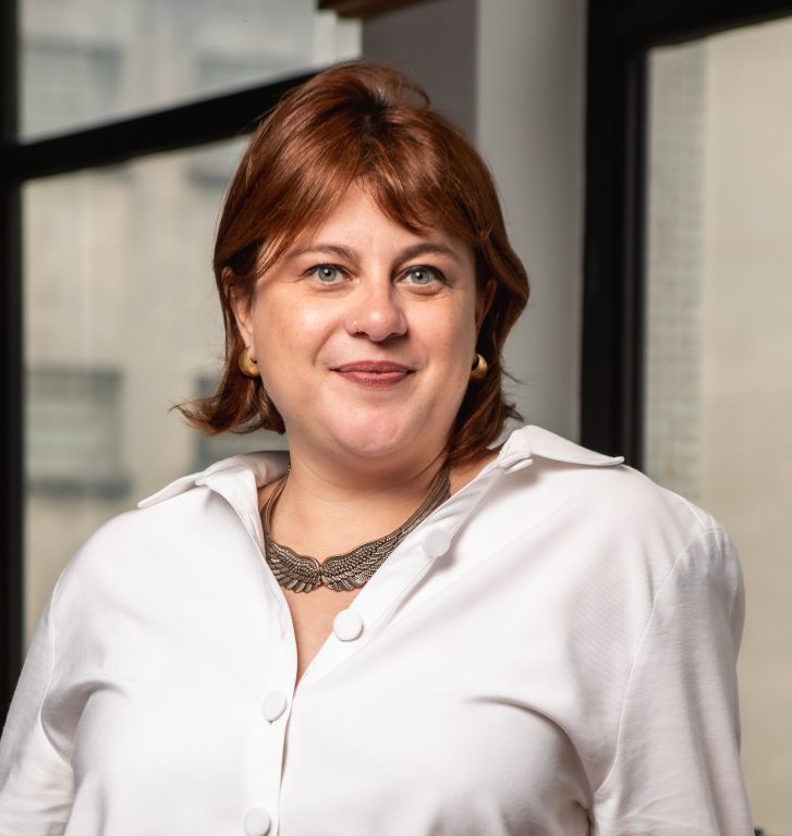 Webinar do PNBE discute eleições de 2026, desafios à democracia e caminhos para fortalecer o processo democrático